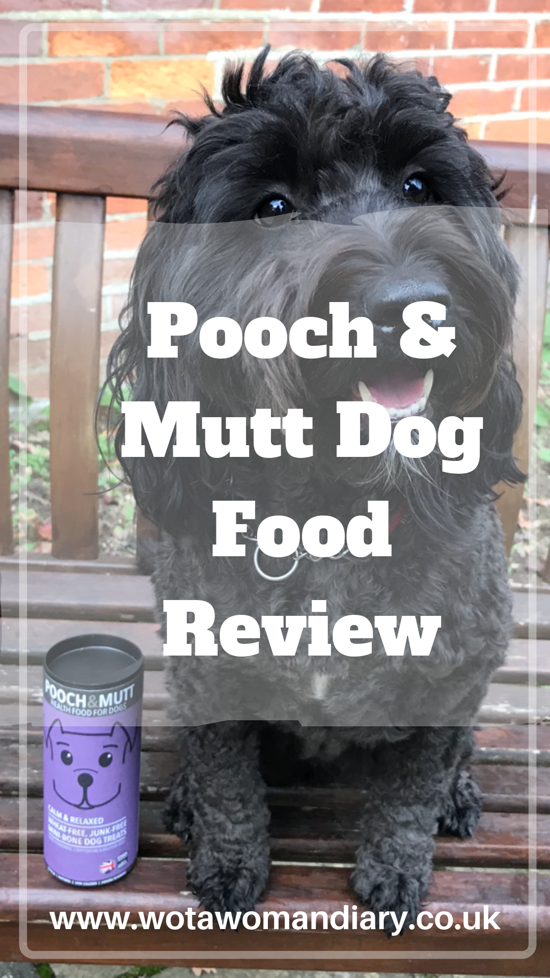 Pooch & Mutt Dog Food review text with a black dog sitting next to the tub of food