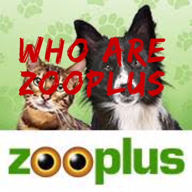 Buying Pet Products Online With Zooplus