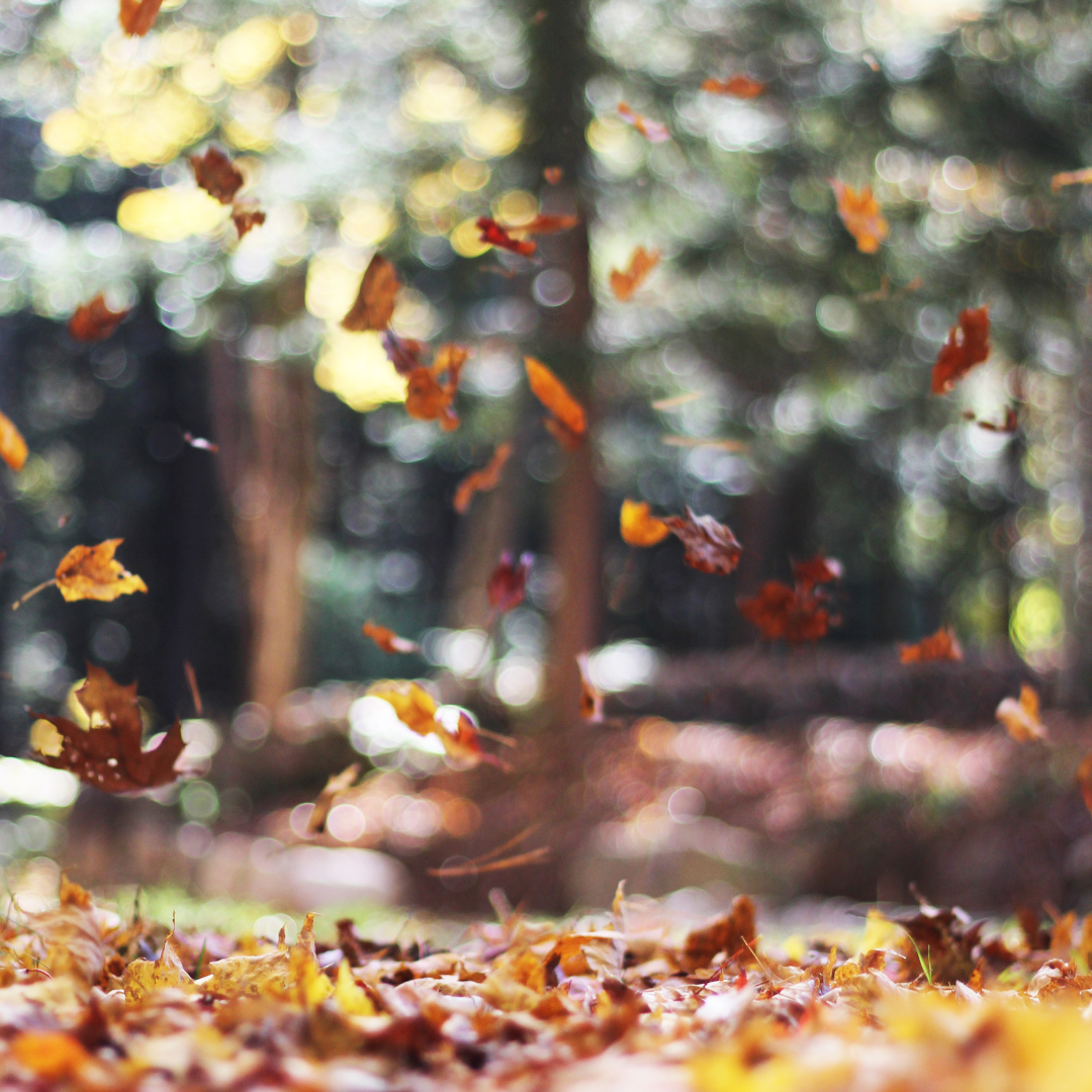 5 Ways To Cosy Up At Home This Autumn