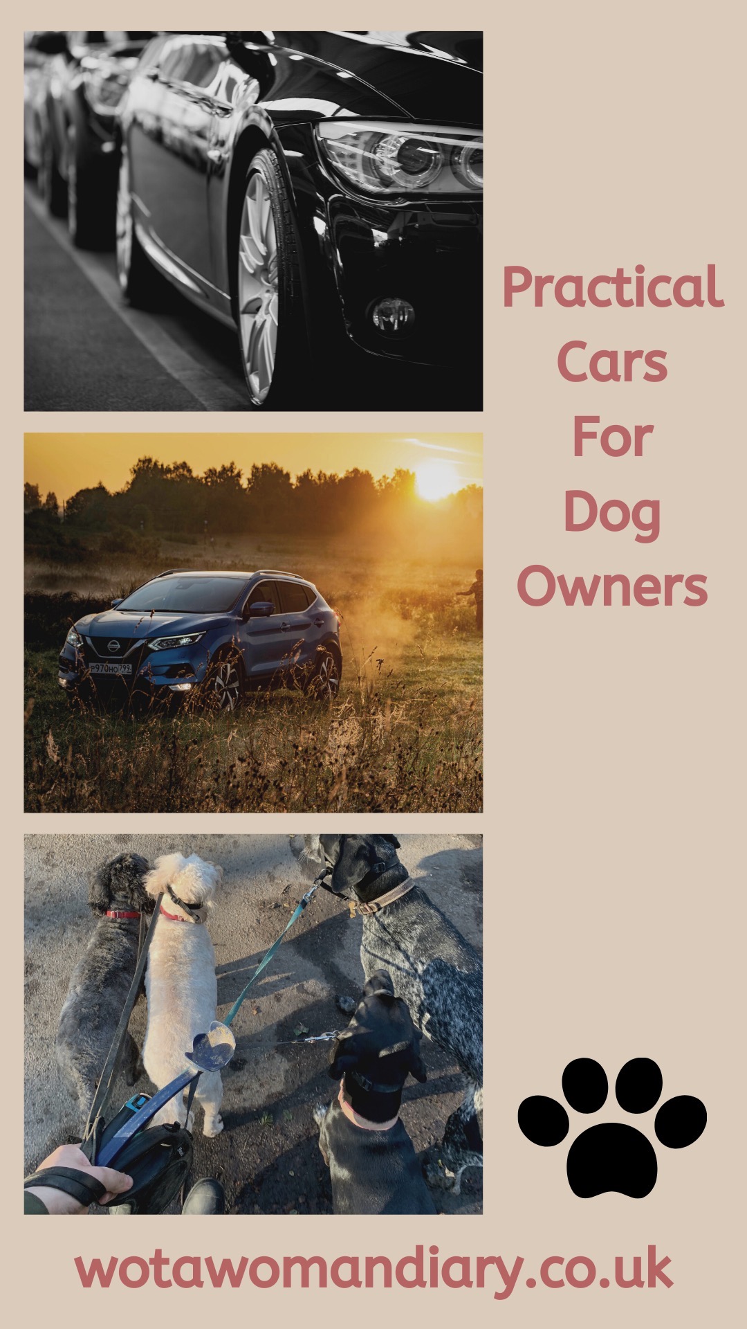 practical cars for dog owners