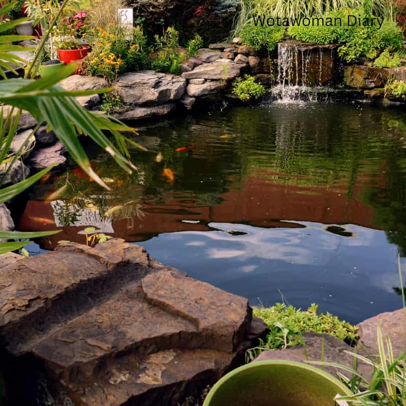 garden pond at home