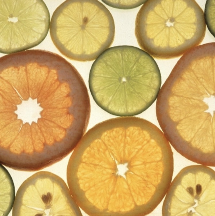 slices of citrus fruits laid flat