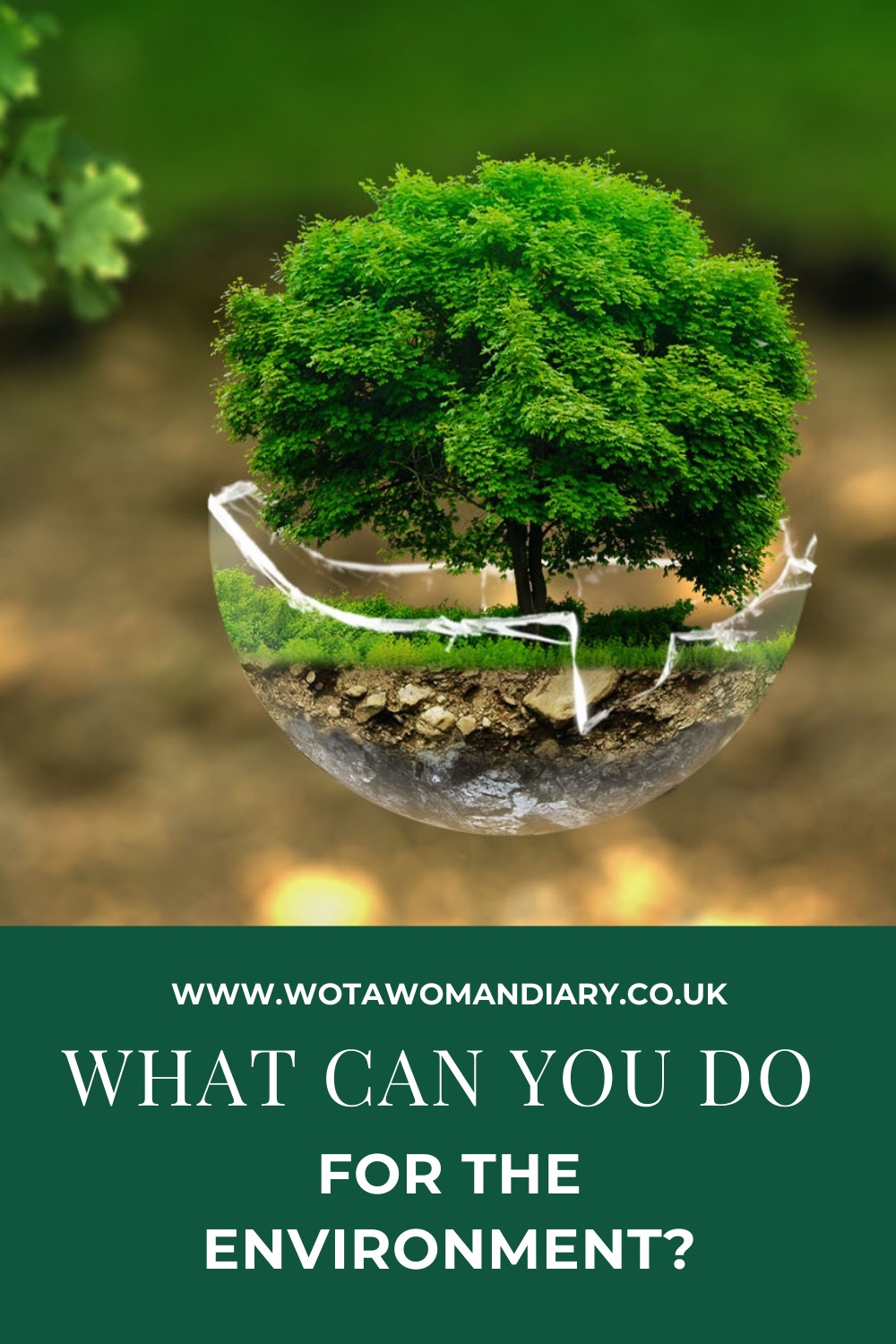 a globe showing the environment with text reading what can you do for the environment