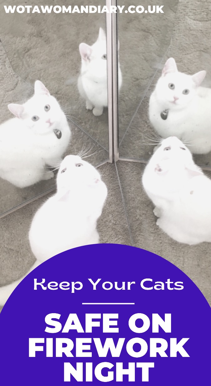 a white cat looking at itself in a multiway mirror