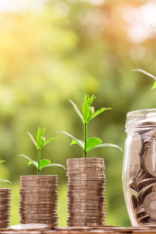 clear jars containing money coins with plant stems growing out the top as a symbolisation of the money in the jars growing