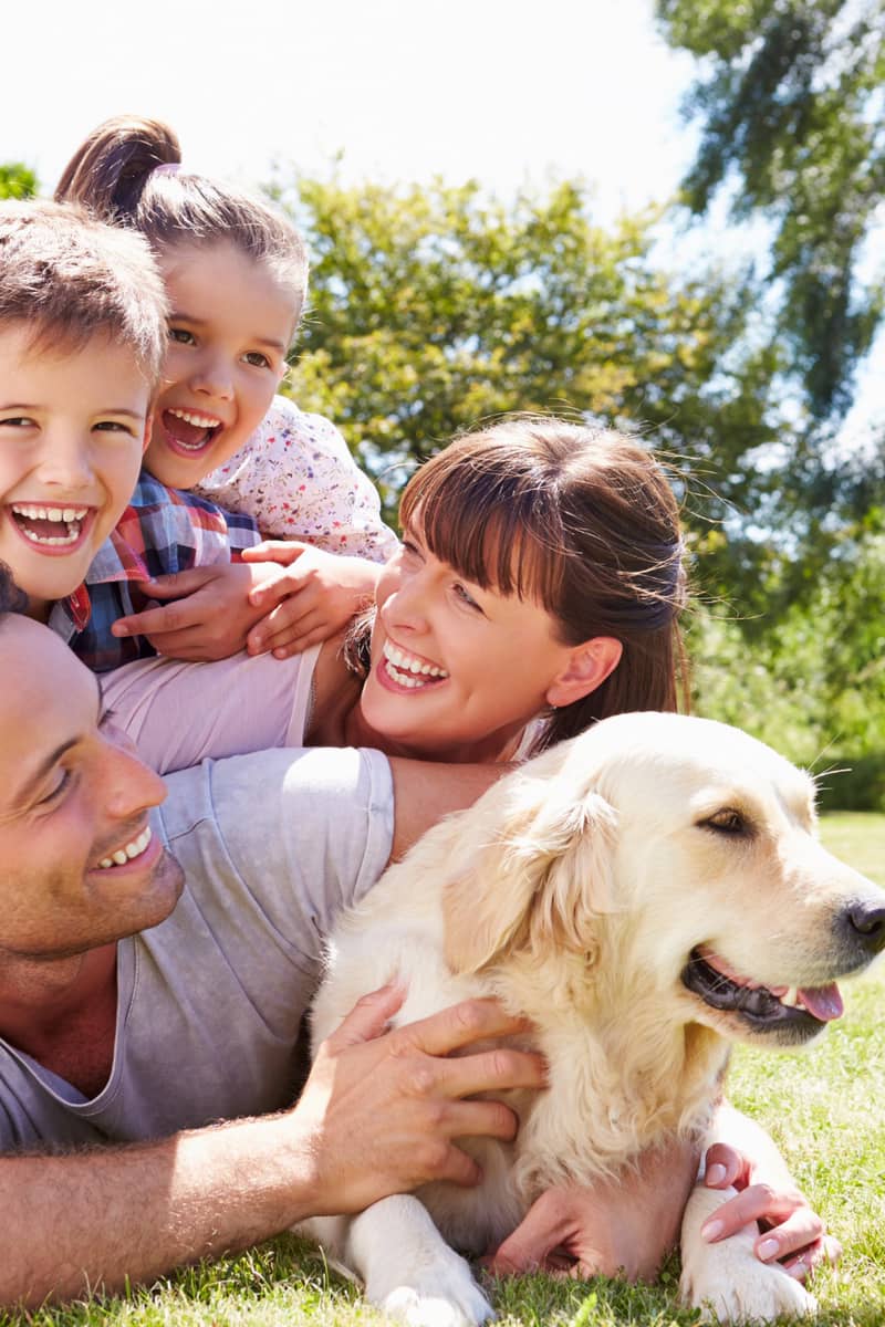 a family sitting around with their adopted dog