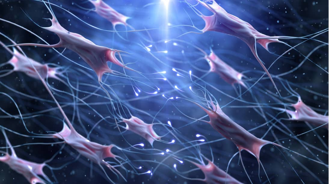 collagen molecule structures 