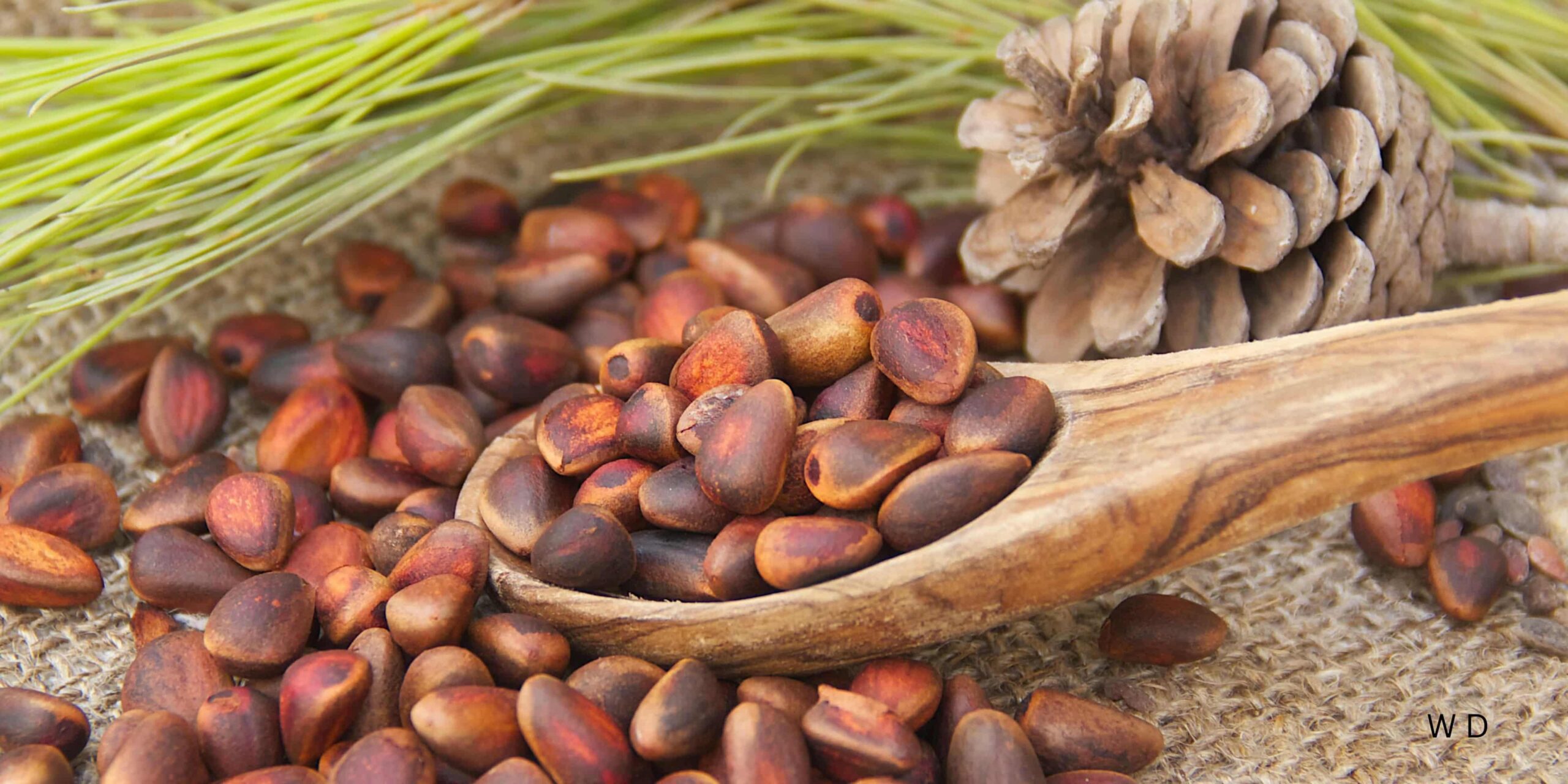 cedarwood fragrances