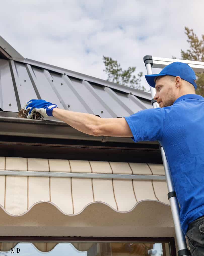 gutter cleaning