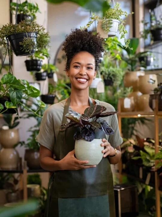 Breaking Free from the Corporate Ladder: Starting Your Own Small Business