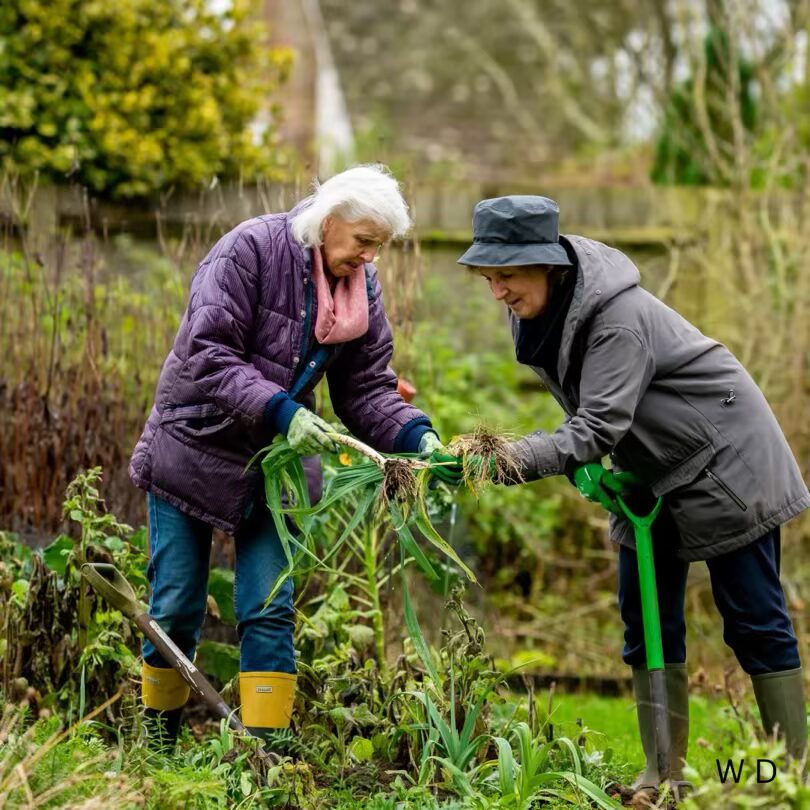 Gardening in August
