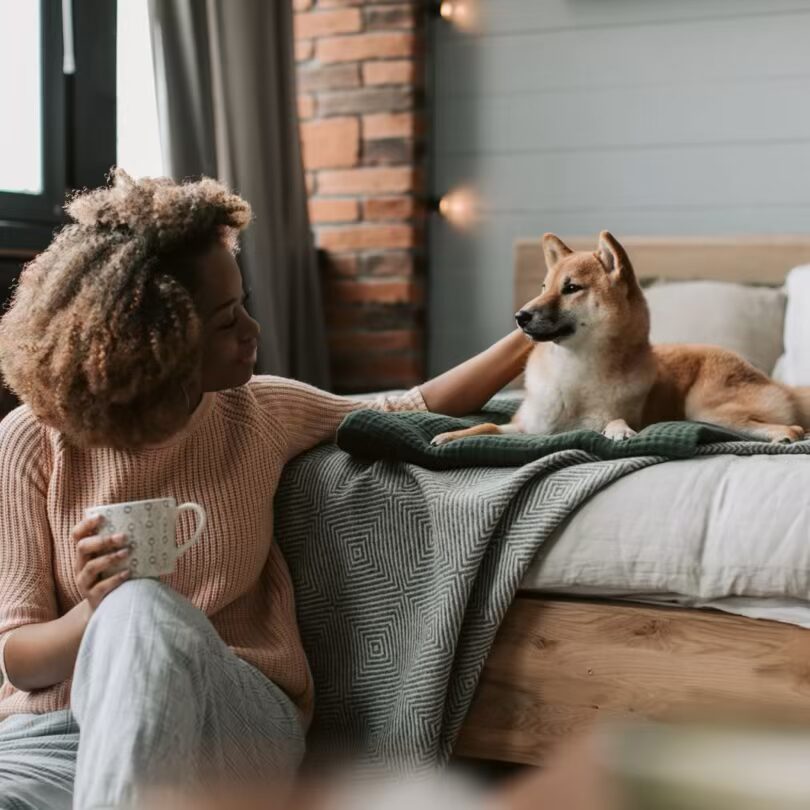 Keep Your Pet Healthy